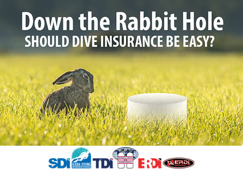DOWN THE RABBIT HOLE: SHOULD DIVE INSURANCE BE EASY?